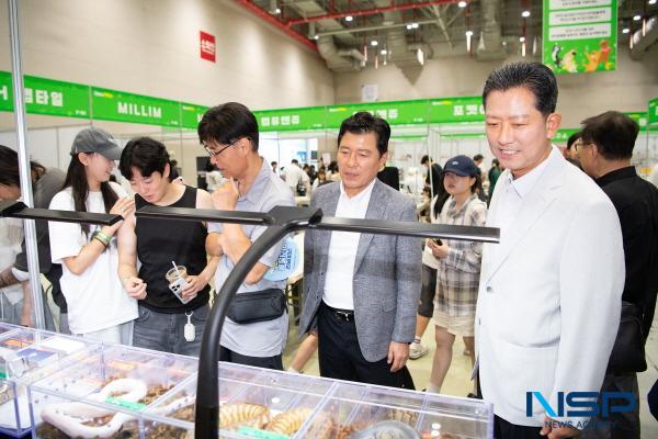 NSP통신-구미시는 2025 대한민국 펫캉스가 지난 25일부터 27일까지 3일간 구미코에서 열렸다고 밝혔다. (사진 = 구미시)