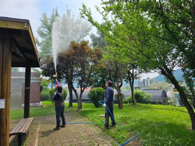 NSP통신-해충 방제 작업 모습. (사진 = 용인특례시)