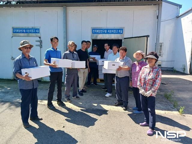 NSP통신- (사진 = 완주군)