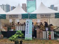 [NSP PHOTO]영암군, 삼호읍 도로변에 무화과 직거래장터 시범운영