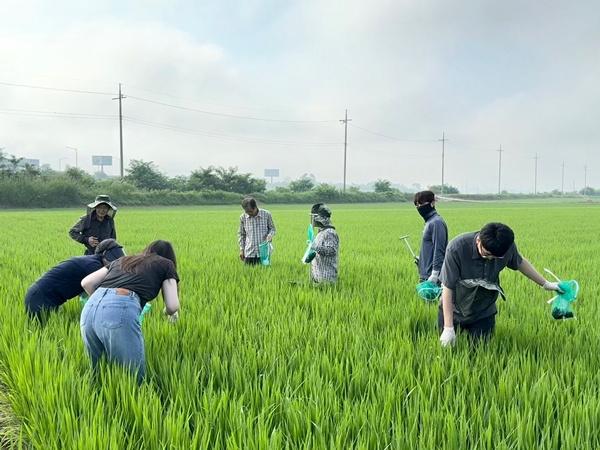NSP통신- (사진 = 장성군)