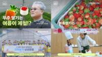 [NSP PHOTO]CJ푸드빌 뚜레쥬르, 마음굽기 캠페인 전개