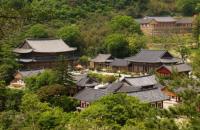 [NSP PHOTO]구례군 문화관광해설사, 천년 고찰 화엄사 찾아 정성스러운 대중공양 올려