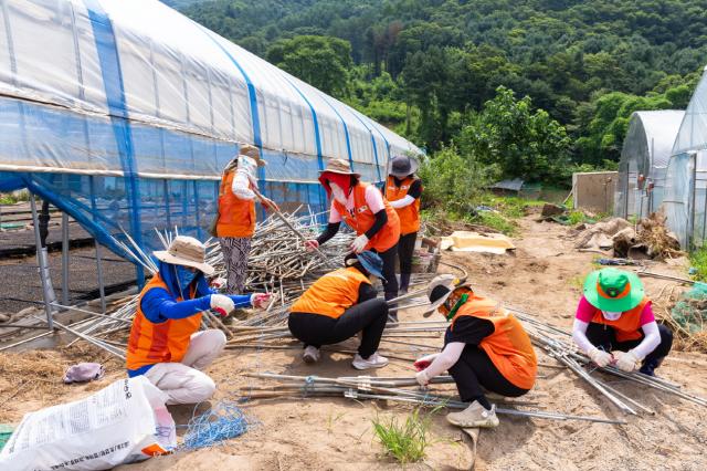 NSP통신-안산시의회 의원들을 비롯한 일행들이 30일 가평군 청평면 청평리를 방문해 수해 복구 지원을 하고 있다. (사진 = 안산시의회)