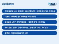 [NSP PHOTO][금융업계동향]미 관세 15%와 미국 측에 4500억달러 약속