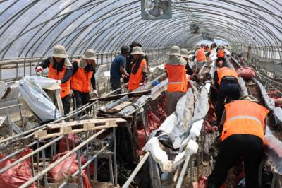 [NSP PHOTO]국민체육진흥공단 수해 피해 아산시 찾아 자원봉사 펼쳐
