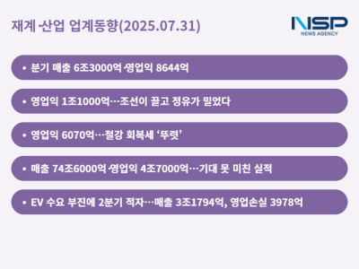 [NSP PHOTO][재계·산업 업계동향]한화 폭등·SK하이닉스 급등… 반도체만 찬바람