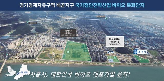 NSP통신-경기경제자유구역 배곧지구 국가첨단전략산업 바이오 특화단지. (사진 = 시흥시)