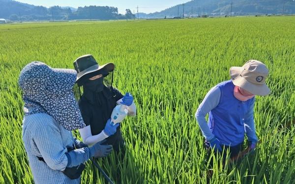 NSP통신- (사진 = 나주시)