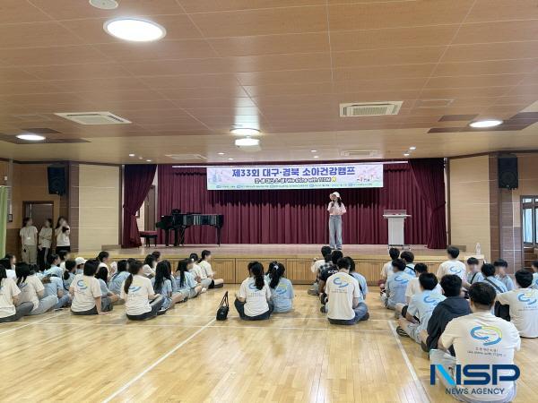 NSP통신-계명대학교 동산병원이 주관한 제33회 대구·경북 소아건강캠프가 지난 7월 29일부터 31일까지 대구교육팔공산수련원에서 개최됐다. (사진 = 계명대학교 동산병원)