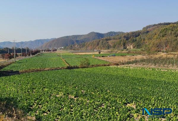 [NSP PHOTO]영양군, 급변하는 기후와 농업환경에 적극 대응