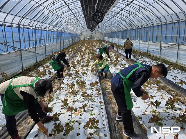 NSP통신- (사진 = 진안군)
