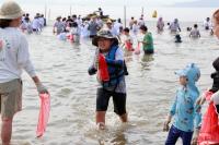 [NSP PHOTO]감자·쪽파·전어의 향연…감쪽같은 보성전어축제 22일 개막