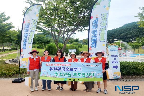 NSP통신-고령군은 여름휴가철을 맞아 청소년의 건전한 문화생활을 조성하고 유해환경으로부터 보호를 강화하기 위해 지난 8일 대가야 생활촌 주변을 중심으로 청소년 보호를 위한 유해환경 점검 및 단속을 실시했다. (사진 = 고령군)