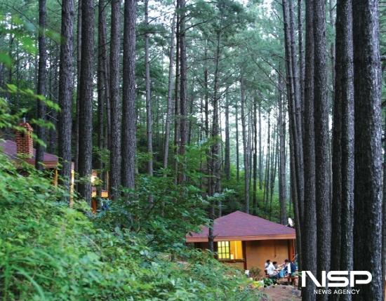 NSP통신-백운산 자연휴양림 전경 (사진 = 광양시청)