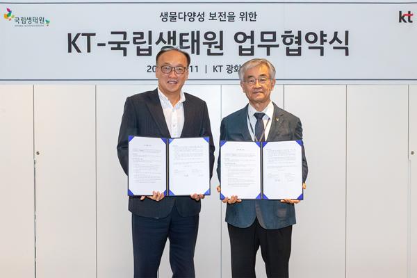 NSP통신- (사진 = KT)