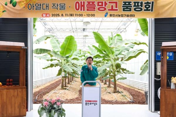 NSP통신-이상일 용인시장이 아열대작물 애플망고 품평회에서 인사말을 하고 있다. (사진 = 용인특례시)