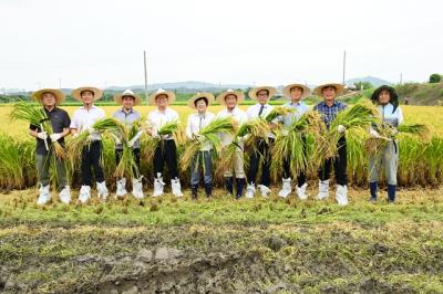 [NSP PHOTO]한경국립대 경기도내 최초 극조생종 벼 개발 수확 눈길