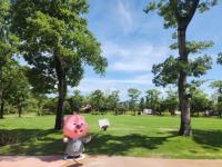 [NSP PHOTO]대한민국 문화도시 순천, 잔망루피와 정원워케이션 특별 콜라보