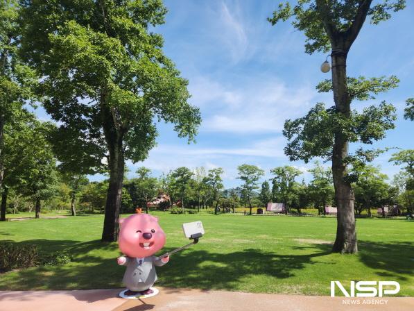 NSP통신-순천만국가정원 정원워케이션 잔디광장 잔망루피 포토존 (사진 = 순천시)