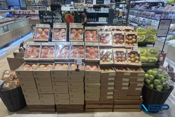 NSP통신-의성군은 친환경 식품 전문 유통기업 올가홀푸드(ORGA)와 친환경 농산물 생산·판매 업무협력(MOU) 체결 13주년을 맞아 지난 8일부터 21일까지 14일간 의성군 저탄소 농산물 큰잔치 행사를 진행한다. (사진 = 의성군)