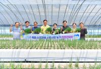 [NSP PHOTO]장성군, 신소득작목 쪽파 수경재배 성공 가능성 확인