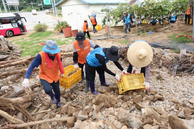 NSP통신-안산도시공사 직원이 가평의 한 포도농가에서 토사물을 정리하고 있다. (사진 = 안산도시공사)