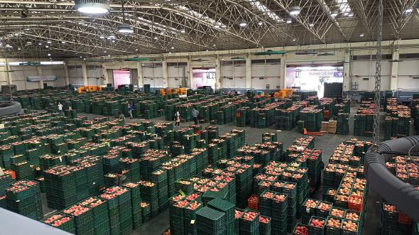 NSP통신-안동시 농수산물도매시장 청과부류 경매 개시 시각 30분 앞당겨, 25일부터 2026년 설 명절 연휴까지 한시적 시행 (사진 = 안동시)