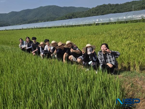 NSP통신-의성군은 지난 22일 서울 소재 대학생들을 초청해 친환경농업 현장을 직접 체험하는 프로그램을 운영했다. (사진 = 의성군)