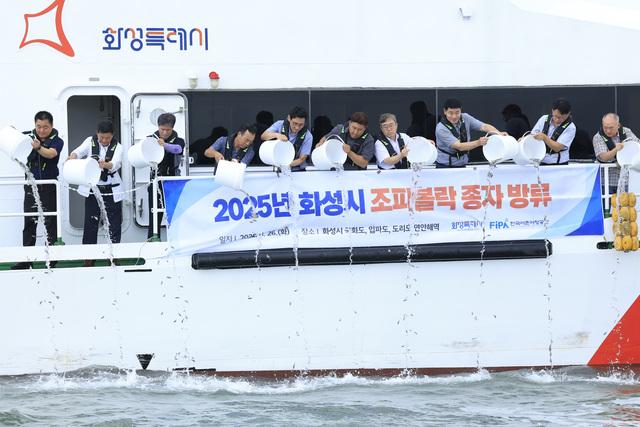 NSP통신-26일 화성시 관계자 등이 국화도 인근 바다에 조피볼락 종자를 방류하고 있다. (사진 = 화성시)