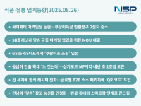 [NSP PHOTO][식품·유통업계동향]맘스터치, 점주들 상대로 2심도 승소…CU는 SK, GS25는 쿠팡, 롯데와 더본의 글로벌 전략