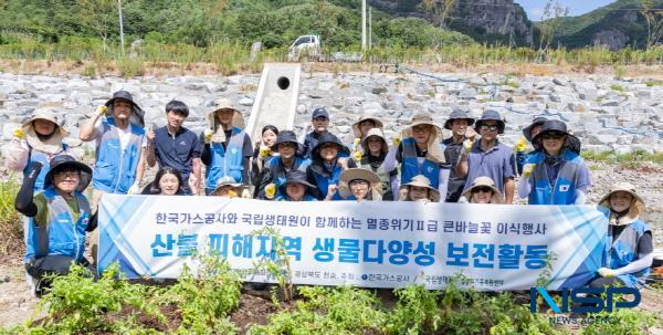 NSP통신-한국가스공사는 지난 26일 경북 청송에서 국립생태원과 산불 피해 지역 복원과 생물 다양성 보전을 위해 멸종위기종인 큰바늘꽃 이식 행사를 진행했다. (사진 = 한국가스공사)
