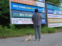 [NSP PHOTO]영양군, 반려동물 무료등록사업 추진