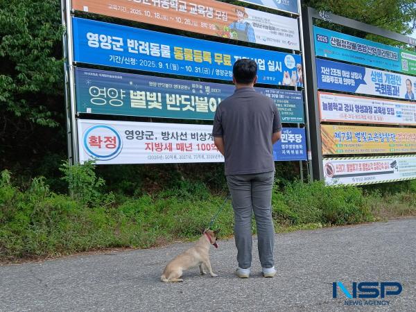 NSP통신-영양군은 반려동물 등록 활성화와 유실·유기동물 발생을 예방하기 위해 오는 9월 1일부터 10월 31일까지 두 달간 반려동물 무료등록사업을 실시한다. (사진 = 영양군)