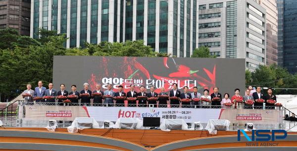 NSP통신-영양군이 개최한 2025 영양고추 H.O.T Festival이 시민들의 뜨거운 호응 속에 성공적으로 마무리됐다.  (사진 = 영양군)