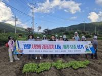[NSP PHOTO]광양 봉강면, 연말 사랑의 김장김치 나눔 위한 배추 모종 심기 실시