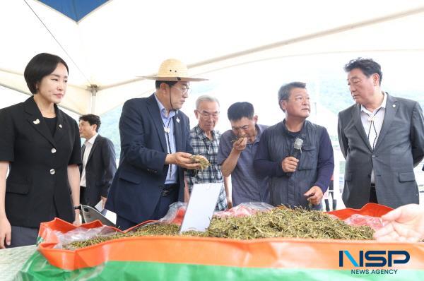 NSP통신-경주시는 2일 신농업혁신타운 알팔파 시험포장에서 축산농가 120여 명이 참석한 가운데 알팔파 재배 기술 보급 연시회를 열었다. (사진 = 경주시)