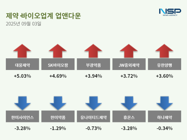 NSP통신- (그래프 = 정송이 기자)