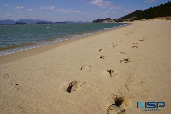 NSP통신- (사진 = 해남군)