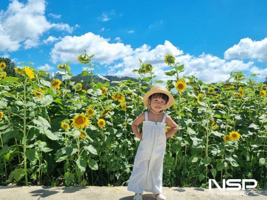 NSP통신-1등 수상작 (사진 = 광양시청)
