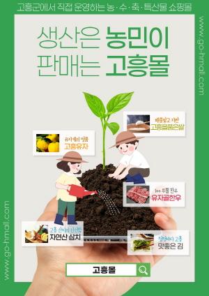 NSP통신-고흥 햅쌀 온라인 판매 돌풍 (사진 = 고흥군)