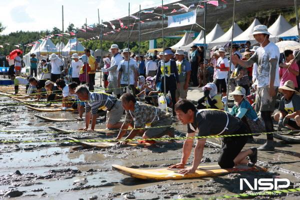 NSP통신-지난 2024년 보성벌교 갯뻘축제에서 뻘배대회 참가자들이 뻘배대회를 하고 있다 (사진 = 보성군)