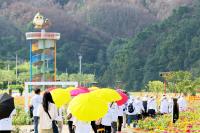 [NSP PHOTO]청송군, 자살예방의 날 기념 생명을 잇는 한걸음 걷기대회 개최