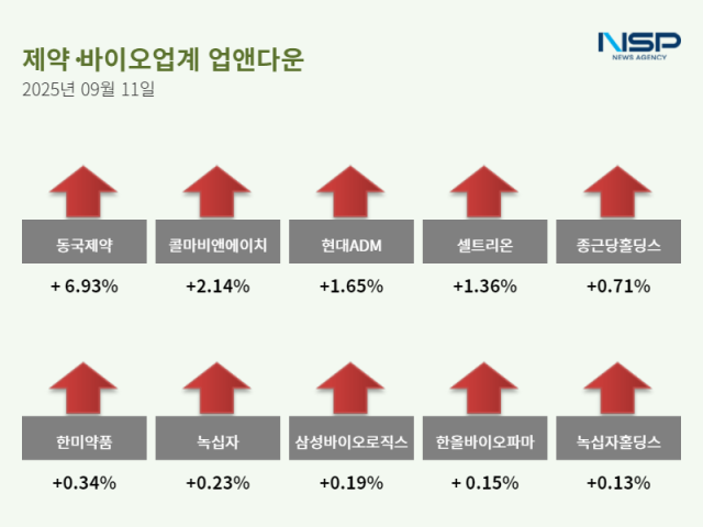 NSP통신- (그래프 = 정송이 기자)