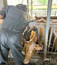 [NSP PHOTO]장성군, 구제역 피해 제로화 팔 걷었다
