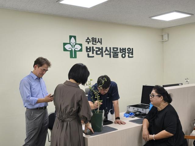 NSP통신-11일 수원시 반려식물병원과 국제사이버대학교 관계자가 반려 식물을 진료하는 모습. (사진 = 수원시)