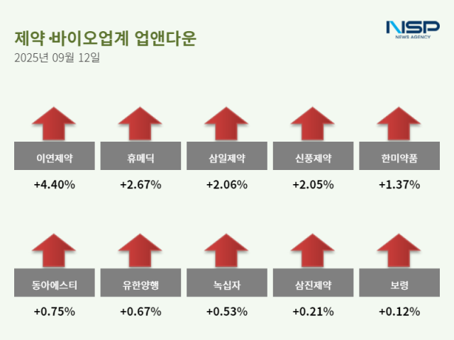 NSP통신- (그래프 = 정송이 기자)