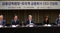[NSP PHOTO]이찬진 외국금융사도 금융소비자 보호 최우선