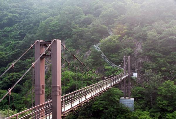 NSP통신-가마골 생태공원 내 출렁다리. (사진 = 담양군)