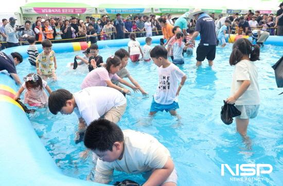NSP통신-맨손 전어잡이 체험 (사진 = 광양시청)